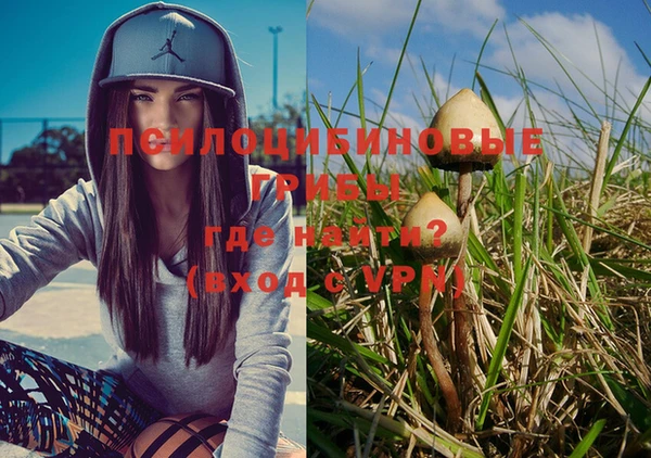 МДПВ Александровское