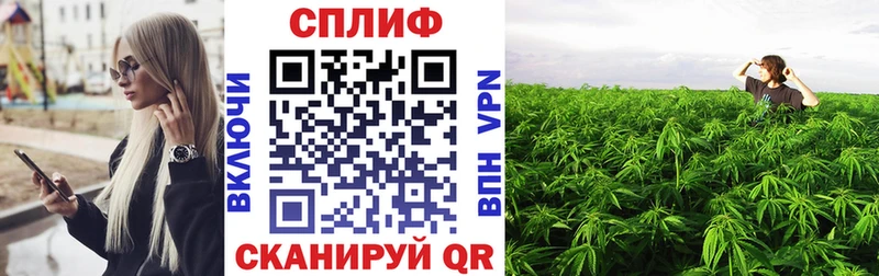 Шишки марихуана VHQ  Купить где  Уварово 